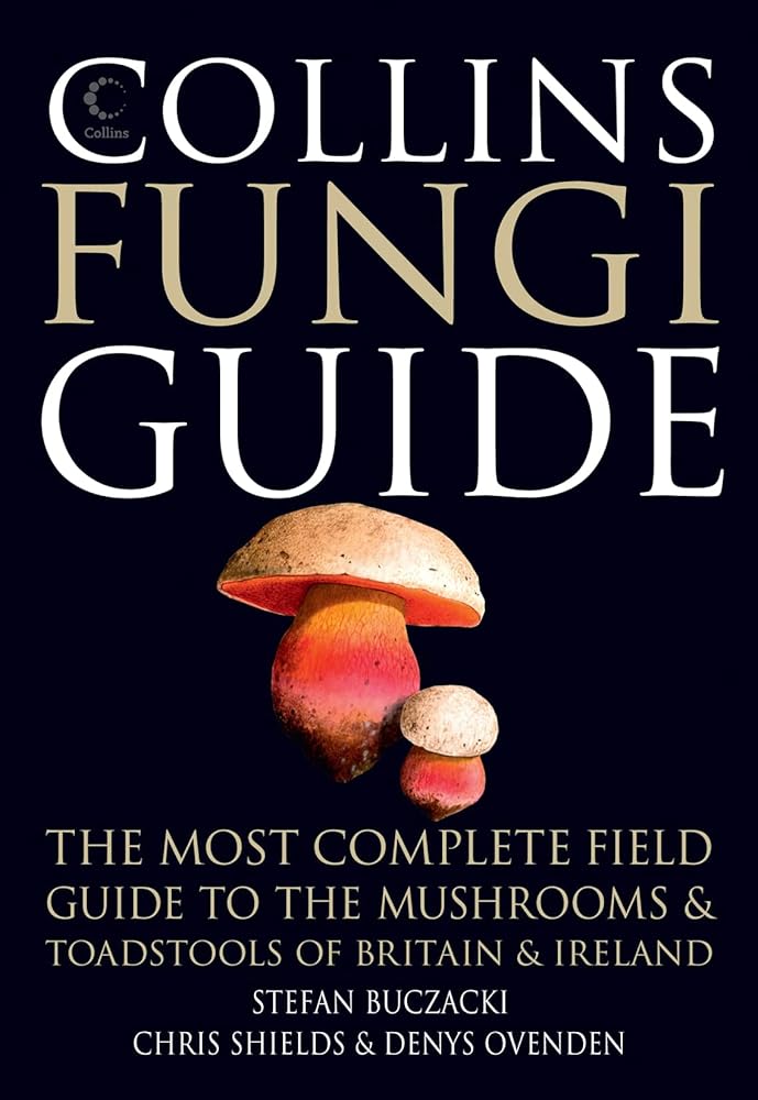 Collins Fungi Guide cover image