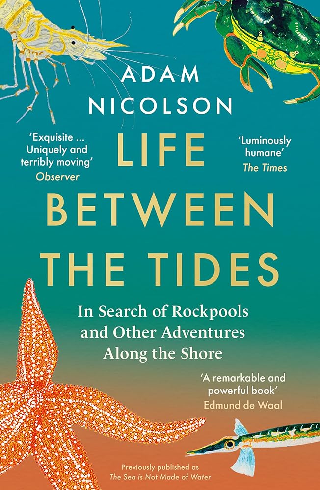 Life Between the Tides: In Search of Rockpools and Other Adventures Along the Shore cover image