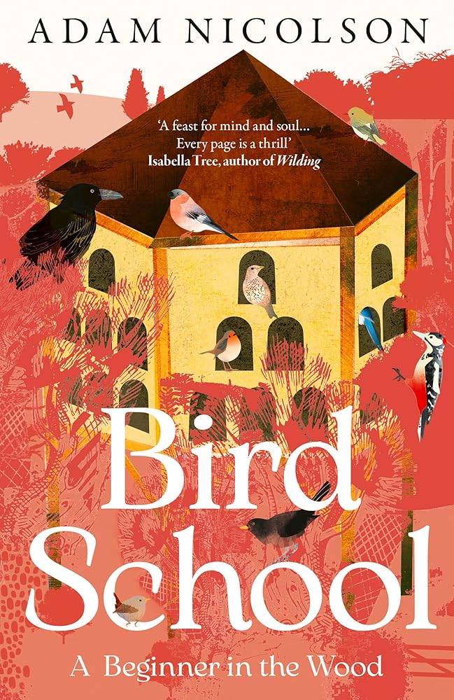 Bird School: A Beginner in the Wood cover image