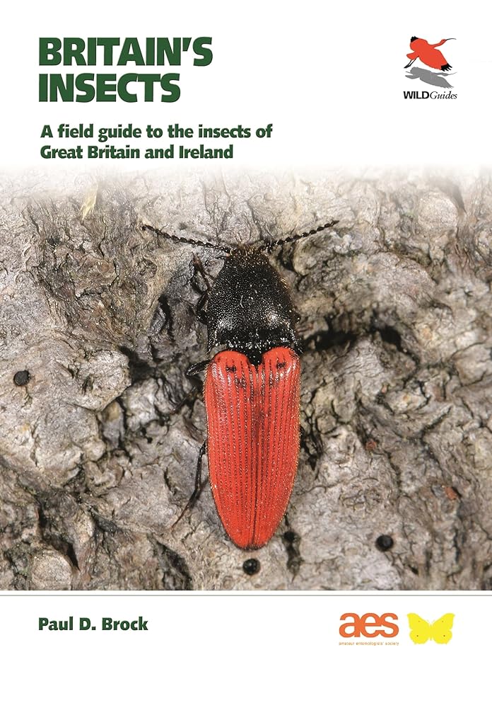 Britain's Insects: A Field Guide to the Insects of Great Britain and Ireland (WILDGuides) cover image