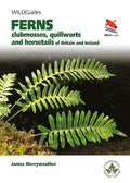 Ferns: Clubmosses, Quillworts and Horsetails of Britain and Ireland (WILDGuides) cover image