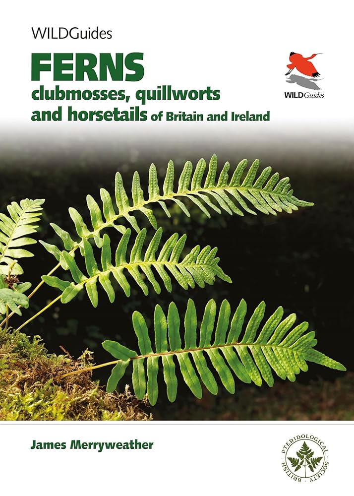 Ferns: Clubmosses, Quillworts and Horsetails of Britain and Ireland (WILDGuides) cover image