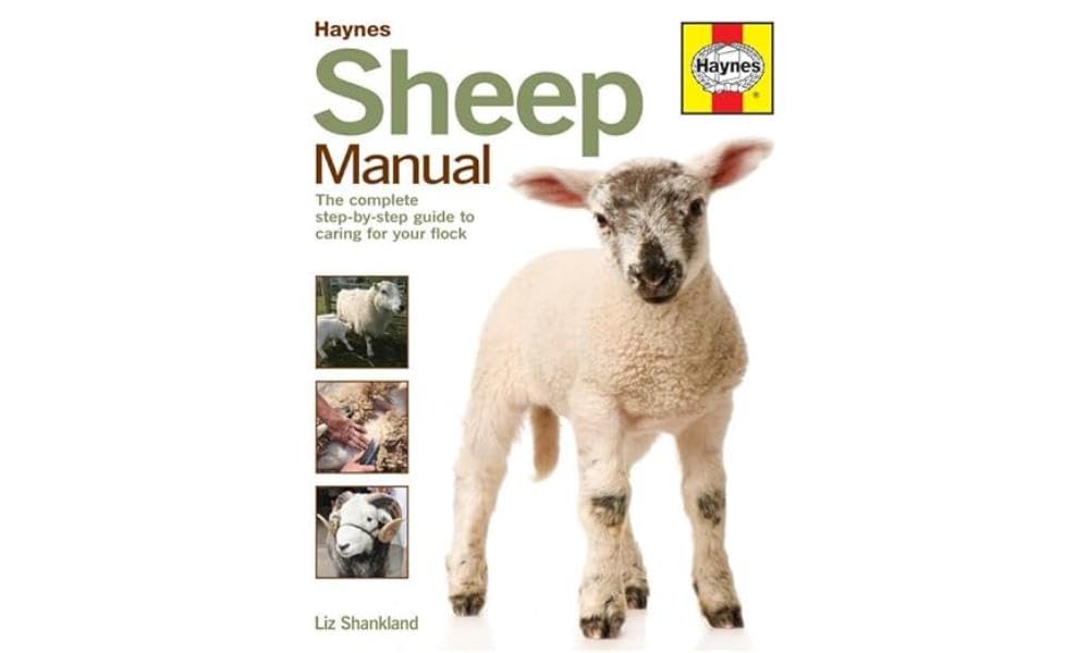 Sheep Manual: The complete step-by-step guide to caring for your flock (Haynes Manuals) cover image