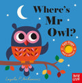 Wheres Mr Owl cover image