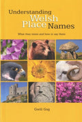 Understanding Welsh Place Names: What They Mean and How to Say Them by Gwili Gog