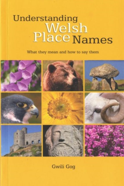 Understanding Welsh Place Names: What They Mean and How to Say Them by Gwili Gog