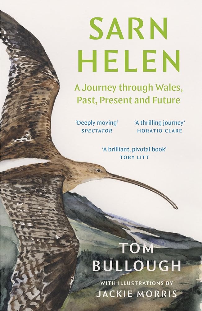 Sarn Helen cover image