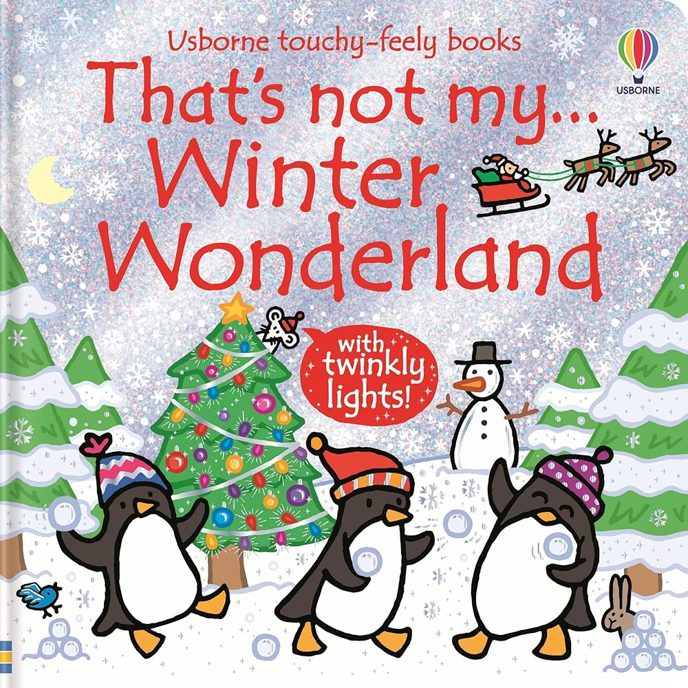 That's not my... Winter Wonderland cover image