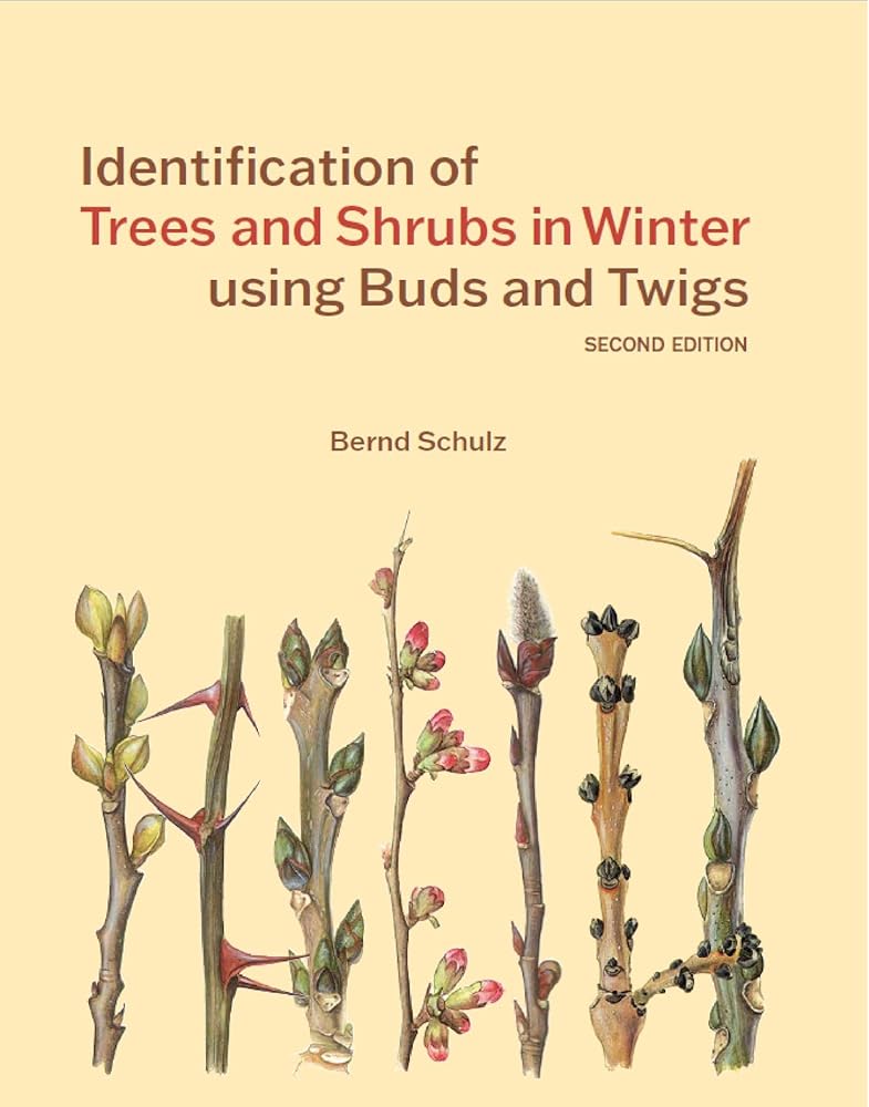 Identification of Trees and Shrubs in Winter using Buds and Twigs cover image
