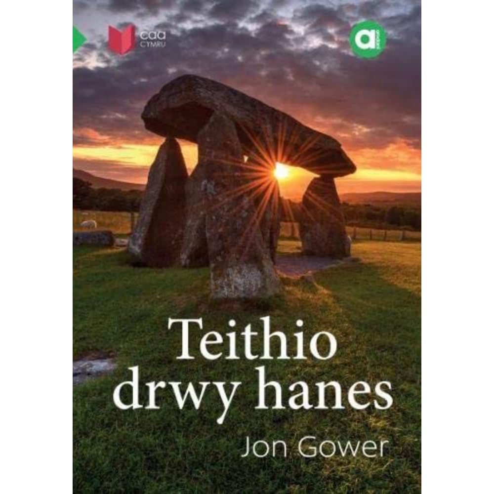 Cyfres Amdani: Teithio drwy Hanes (Welsh Edition) cover image
