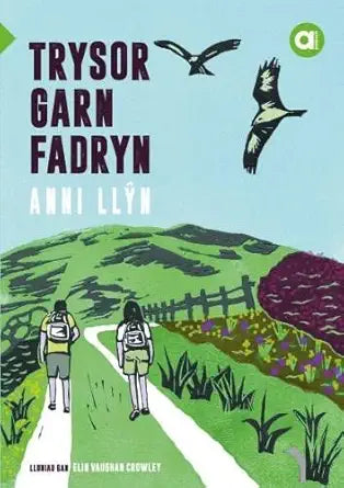 Cyfres Amdani: Trysor Garn Fadryn (Welsh Edition) cover image