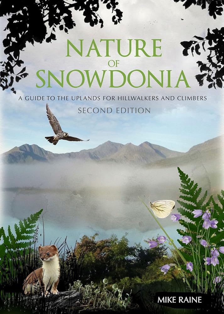 Nature of Snowdonia: A Guide to the Uplands for Hillwalkers and Climbers cover image