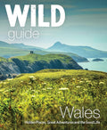 Wild Guide Wales: Hidden places, great adventures & the good life cover image