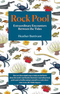 Rock Pool: Extraordinary Encounters Between the Tides cover image
