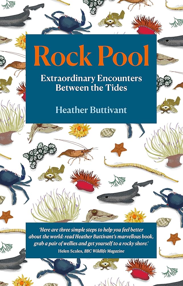 Rock Pool: Extraordinary Encounters Between the Tides cover image