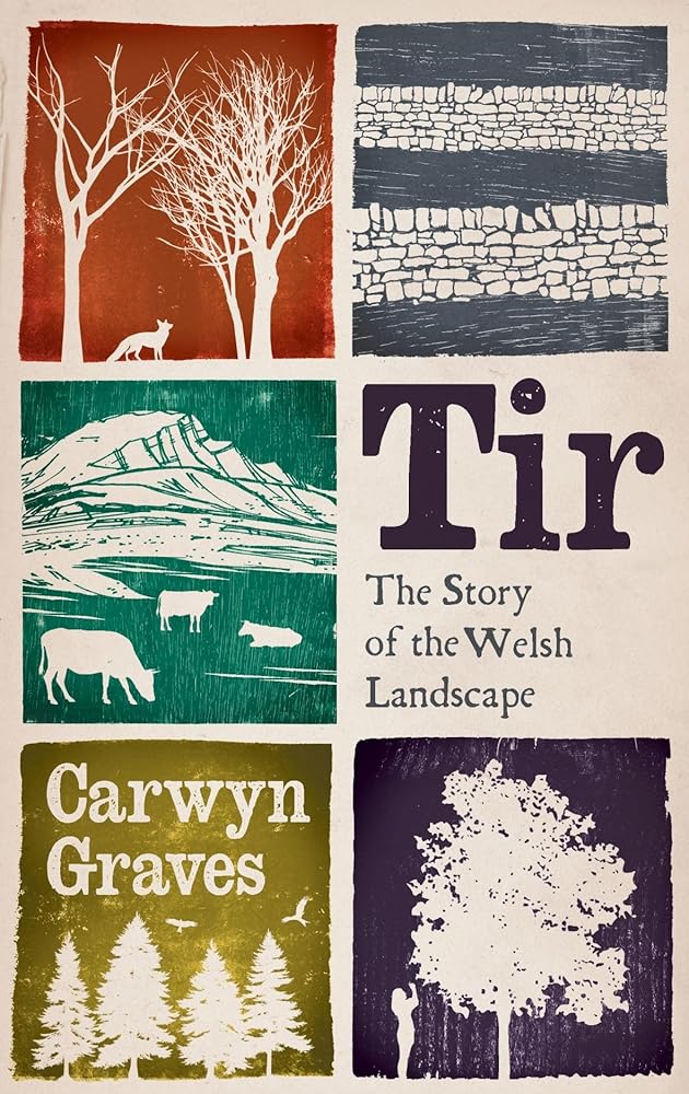 Tir: The Story of the Welsh Landscape cover image