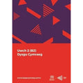Dysgu Cymraeg: Uwch 2 (B2) cover image